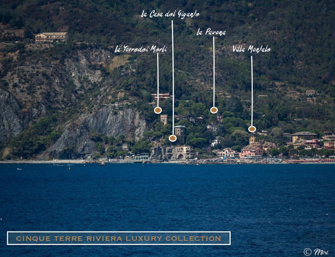 Villa Montale Apartment I Limoni Monterosso al Mare Exteriör bild